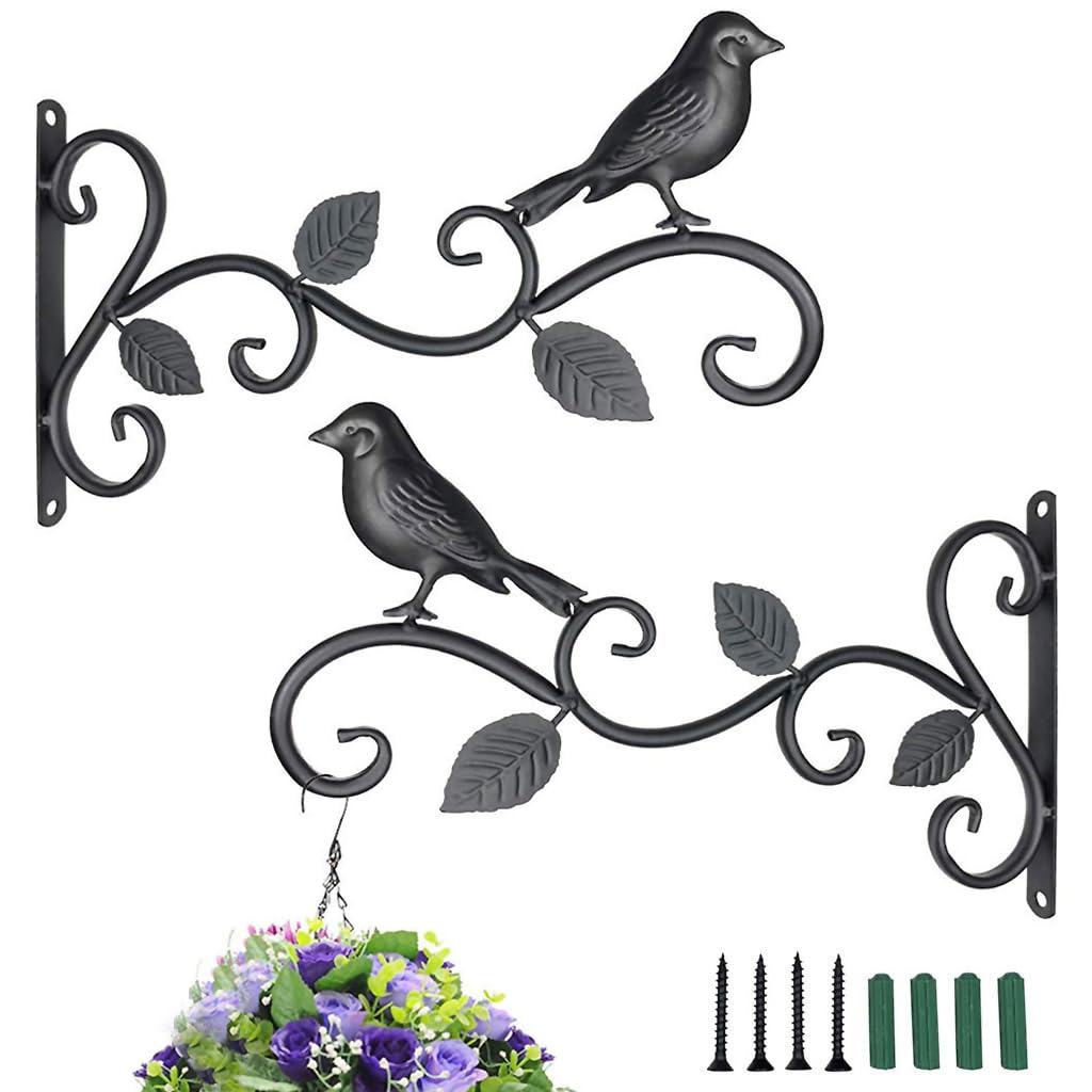 Optifit 2Pcs Metal Wall Hook for Pots, Bird Feeders, Planters, Lanterns, Macrame, Wind Chimes, Heavy Duty Wall Hangers Decorative Wall Brackets for Indoor Outdoor Decorition Optifit 2Pcs Metal Wall Hook for Pots, Bird Feeders, Planters, Lanterns, Macrame, Wind Chimes, Heavy Duty Wall Hangers Decorative Wall Brackets for Indoor Outdoor Decorition